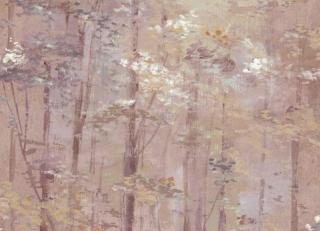 Фото - Обои - 476089>