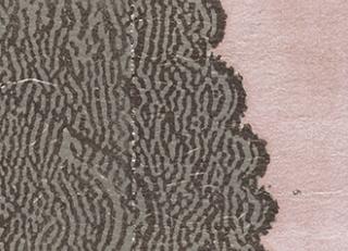 Фото - Обои Elitis Mille millions - 262049>