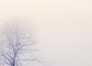 Фото - Ковры Tai Ping Kiso by Yabu Pushelberg - 507859>