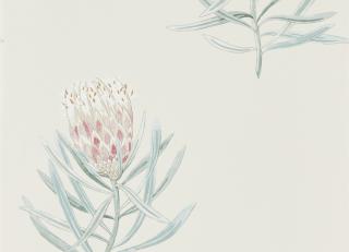 Фото - Обои Sanderson Art of the Garden - 324340>