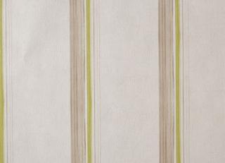 Фото - Обои Caselio Curiosity - 223617>