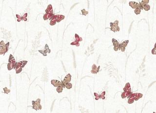 Фото - Обои Aura Gourmet Tour II - 367850>