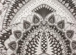 Фото - Обои Matthew Williamson Durbar - 304653>