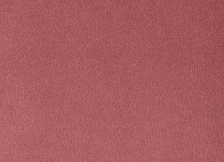 Фото - Ткани Foresti Home Collection Velluto di cotone Zeus - 563368>