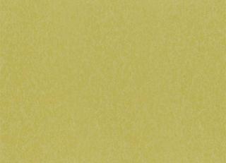 Фото - Обои Christian Lacroix The Edit Plains and Textures II - 576578>