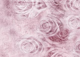 Фото - Обои Ango Linea Natural - 330854>