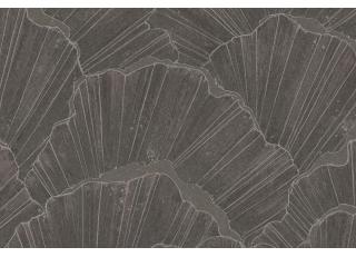 Фото - Обои Emil&Hugo Moana - 572968>