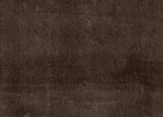 Фото - Ткани Zinc Husky - 385751>