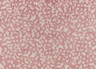 Фото - Ткани Kirkby design Burst - 527294>