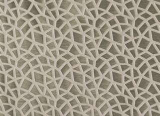 Фото - Ткани Osborne & Little - 261089>