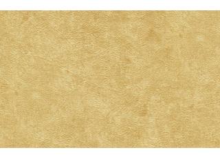 Фото - Обои Shinhan Ikon - 459544>