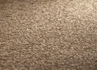 Фото - Ковры JAB Anstoetz Infinity - 574182>