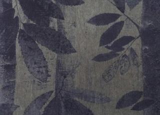 Фото - Обои Fardis Splendore - 249264>