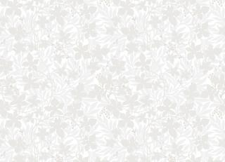 Фото - Обои Duro Spira - 608487>