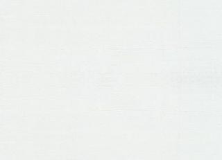 Фото - Ткани Дом CARO Silk Bombay - 533346>