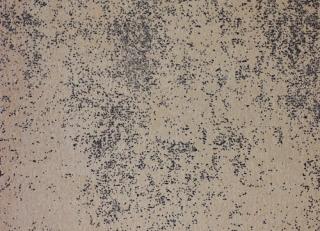 Фото - Обои KT Exclusive Artemide - 574087>