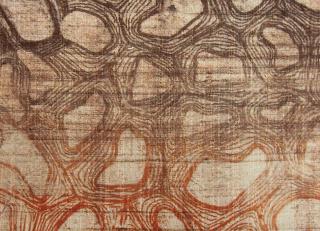 Фото - Ткани Foresti Home Collection Serengeti - 569652>