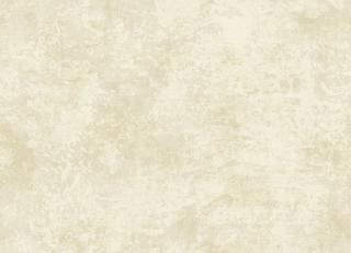 Фото - Обои KT Exclusive Patina - 346741>