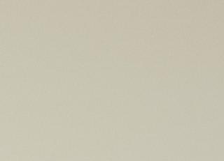 Фото - Ткани Clarke&Clarke Spectrum Fabrics - 363004>