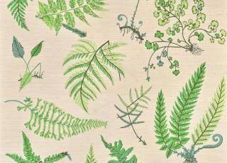 Фото - Обои Pierre Frey Jardins Secrets Wallpapers - 617410>