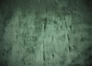 Фото - Ткани Gancedo Chiffun - 491177>