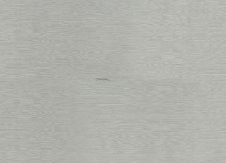 Фото - Обои Emiliana Parati Dolce&Gabbana - 609972>