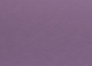 Фото - Ткани Clarke&Clarke Java - 403674>