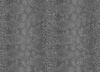 Фото - Обои Carl Robinson Edition 17 - 557828>