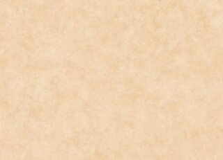 Фото - Обои Caselio Beton 2 - 631911>