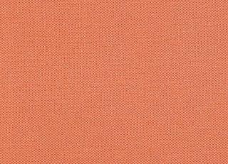 Фото - Ткани Scion Plains Eight - 301545>