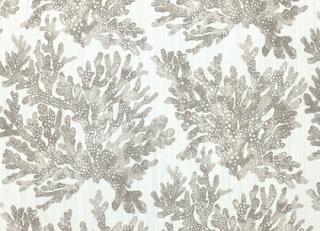 Фото - Ткани Thibaut Tropics - 529861>