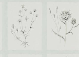 Фото - Обои Sanderson Embleton Bay - 370527>