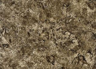 Фото - Обои Zoffany Akita - 194828>