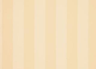 Фото - Ткани Daylight Candy Stripes - 532511>