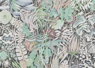 Фото - Обои Pierre Frey Iles Enchantees - 597291>