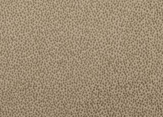 Фото - Ткани Clarke&Clarke Cesare - 295904>