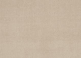 Фото - Ткани Clarke&Clarke Gustavo - 403415>