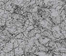 Фото - Обои Collins & Company Casa Blanca 2 - 576840>