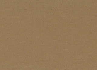 Фото - Ткани Rubelli Sharky - 624116>