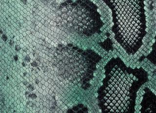 Фото - Аксессуары Pavoni Кожа Liveri - 588838>