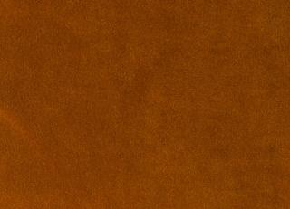 Фото - Ткани Foresti Home Collection Velluto di cotone Zeus - 563372>