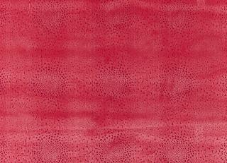 Фото - Ткани Villa Nova Folium - 268947>