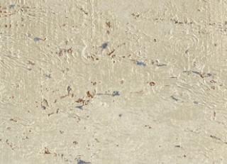 Фото - Обои Elitis Essence de liege - 509460>