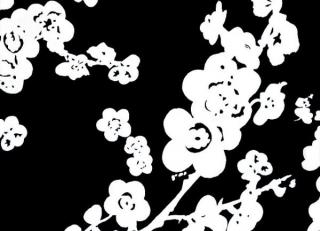 Фото - Обои Tres Tintas Hit - 197931>