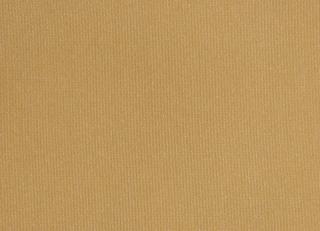 Фото - Ткани Foresti Home Collection Taffetas Boston - 569726>