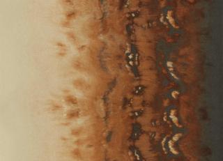 Фото - Обои Clarke&Clarke Fusion Wallpaper - 554224>