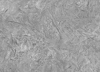 Фото - Обои для стен Zambaiti - 542775>