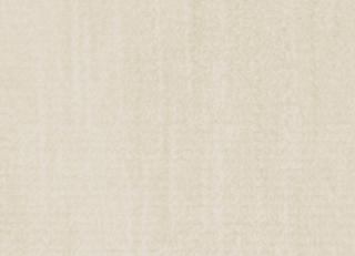 Фото - Ткани Foresti Home Collection Velluto Supreme - 563625>