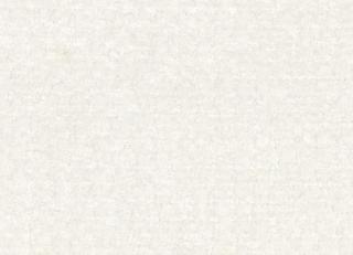 Фото - Ткани Camengo Totem Textures - 602263>