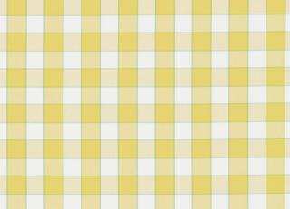 Фото - Ткани Sanderson Bramley Checks - 260469>